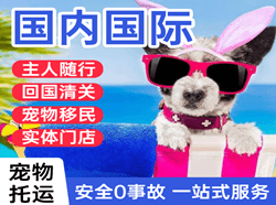 布拉克航空快运国际宠物托运 【国