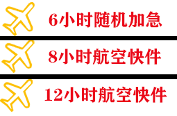 布拉克航空快运快递公司,专业空运当天件